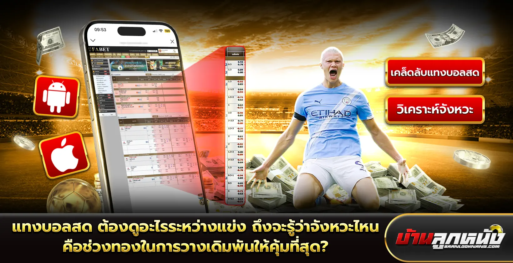 แทงบอลสด